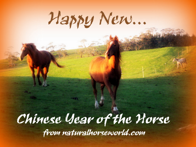 Happy New Year of the Horse!